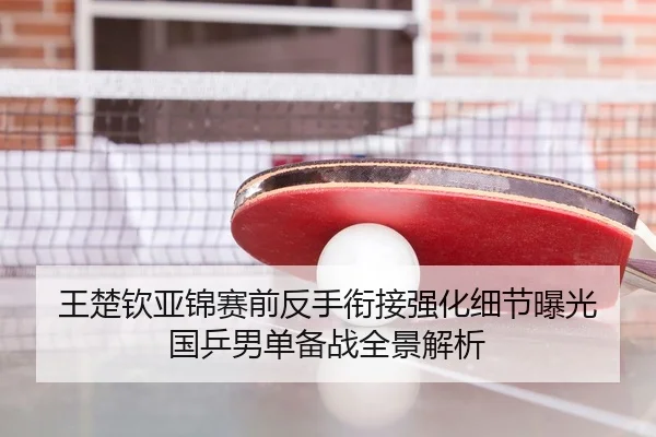 王楚钦亚锦赛前反手衔接强化细节曝光 国乒男单备战全景解析