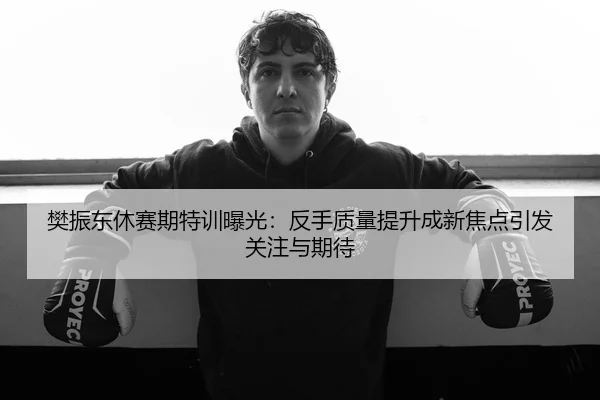 樊振东休赛期特训曝光：反手质量提升成新焦点引发关注与期待